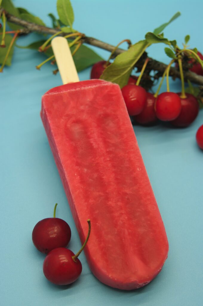 Sour Cherry artisan ice pop