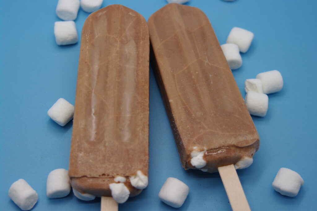 Frozen Hot Chocolate artisan ice pop